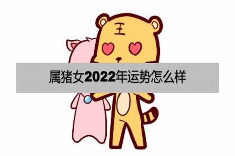 猪女2021运势