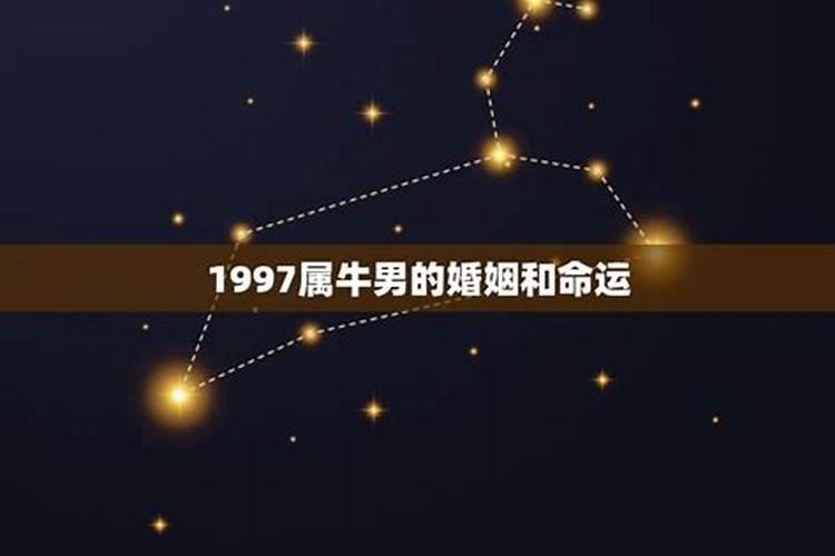 1997属牛男生的命运怎么样呢