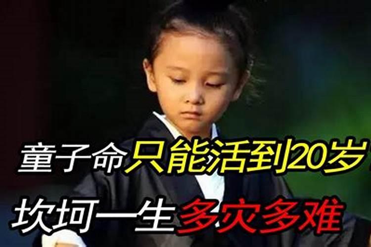 孕妇做梦梦到鸭子是什么意思