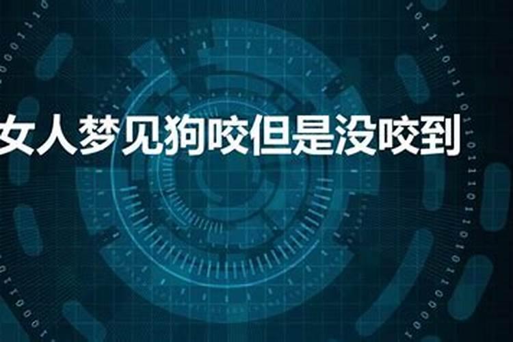 梦到狗追着咬我预示着什么