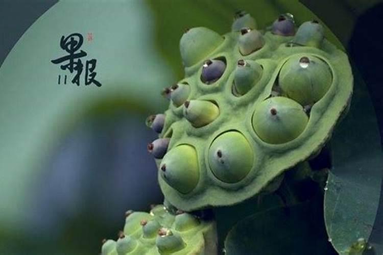 清明节回不了家怎么烧纸