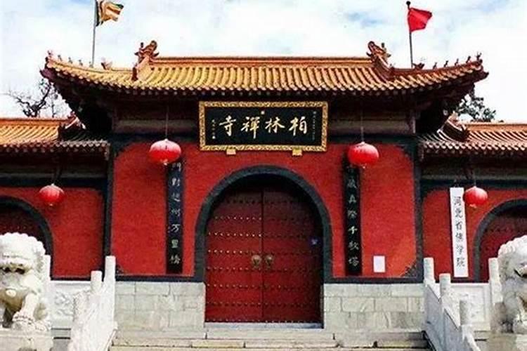 柏林禅寺法事活动2021年11月12日