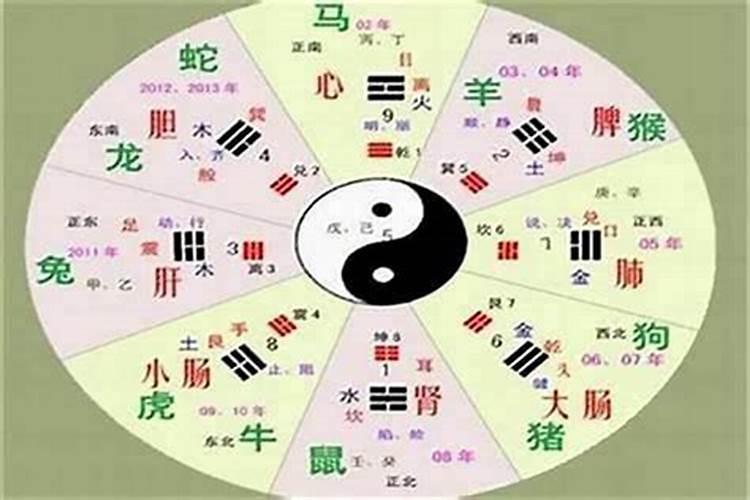 五行属性怎么确定