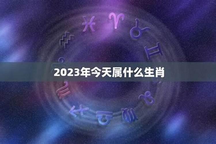 2023什么属相运势