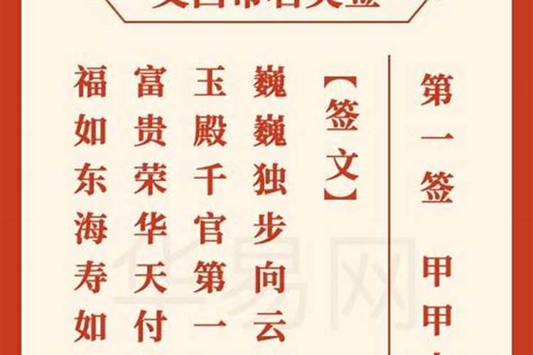 1951年属兔的今年多少岁