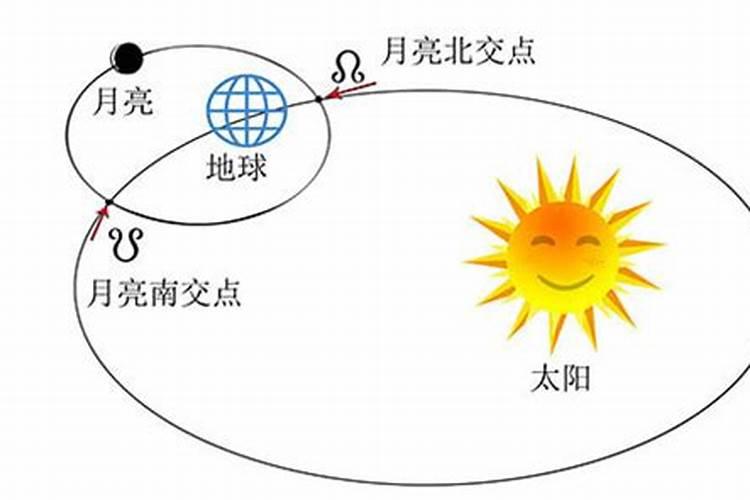 属猪配啥属相