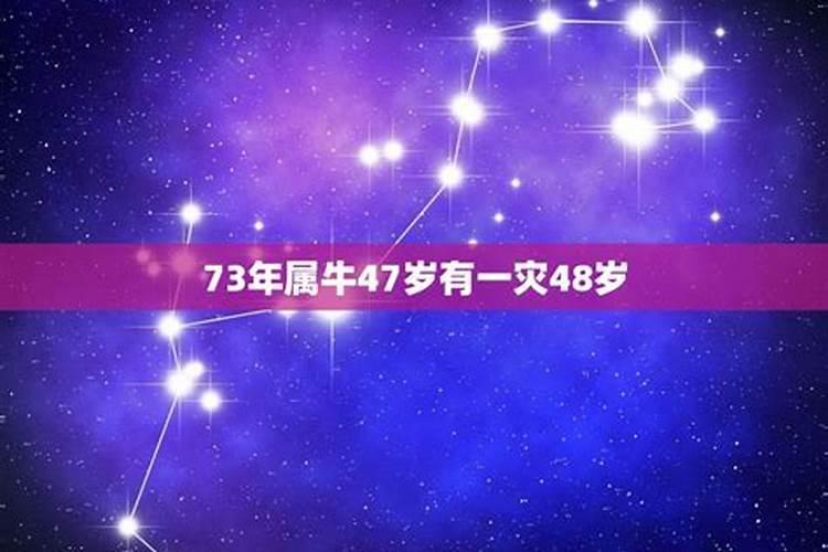 73年属牛48岁命中注定2021