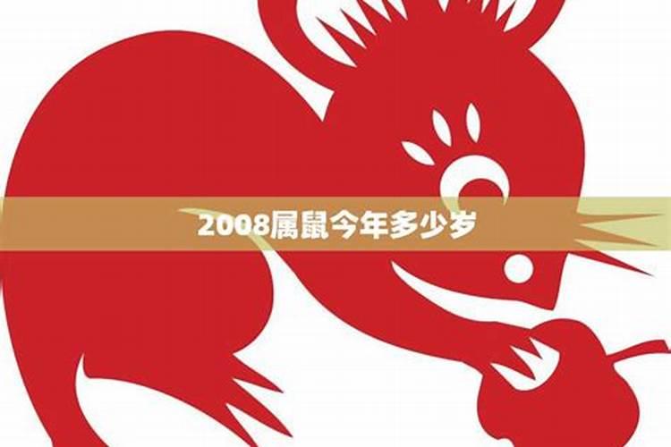 2008属鼠今年运势