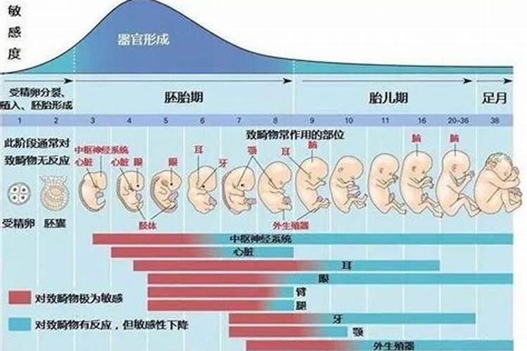 梦到已故多年的亲人还活着好不好呢