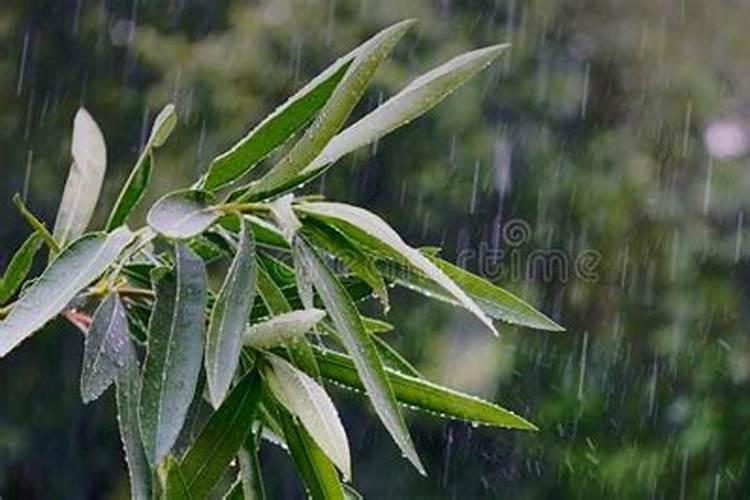 中元节下雨了还要去烧纸吗