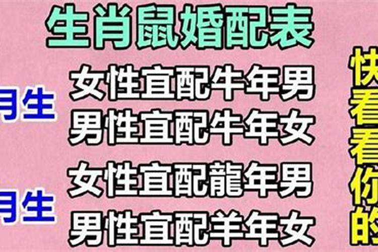 冬至穿红运气好吗