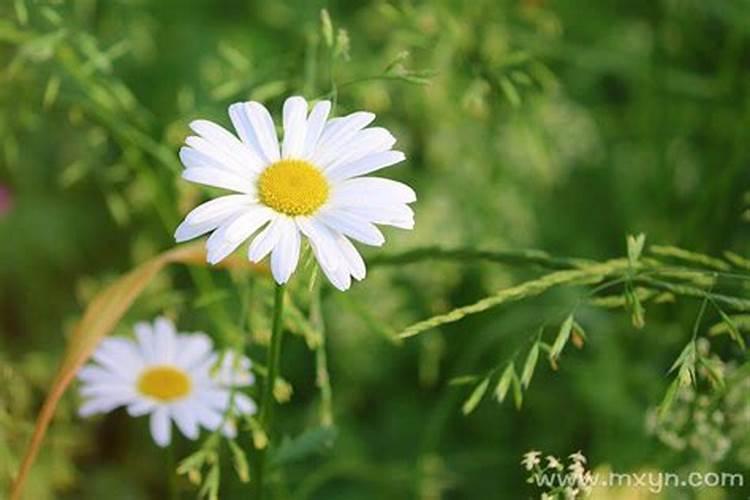 清明节去哪里玩比较好郑州的地方