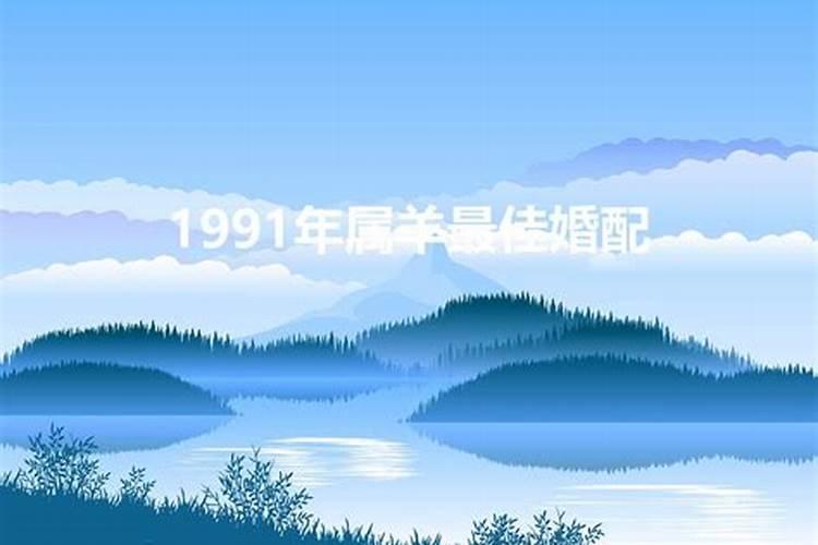 1991年属羊的婚配属相