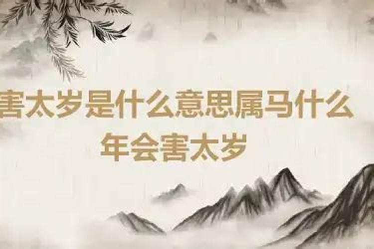 属马今年害太岁什么意思呀