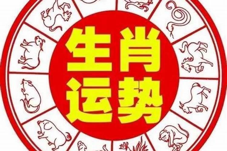 属兔流年运程测算2021年运势