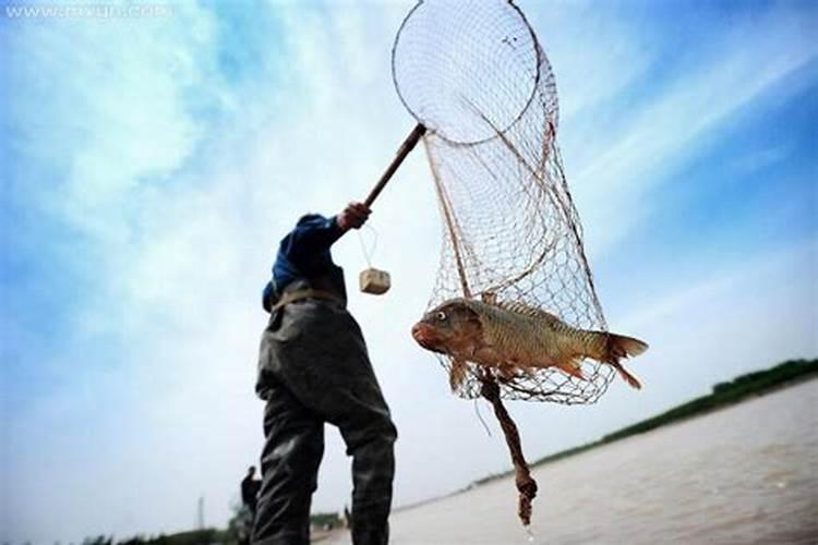 梦见家人捕鱼但有好多鲨鱼自己很害怕了