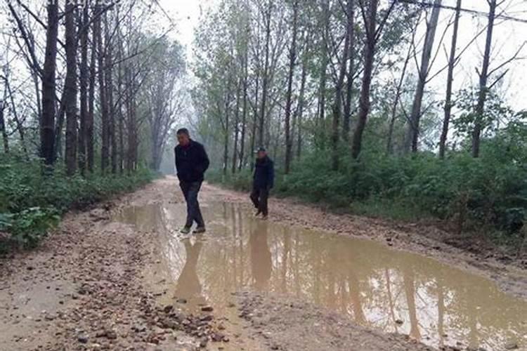 梦见雨天泥泞路