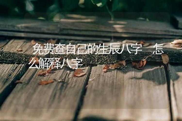 清明节缅花革命