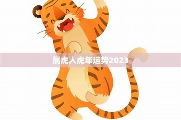 属虎虎年运势2023年运程