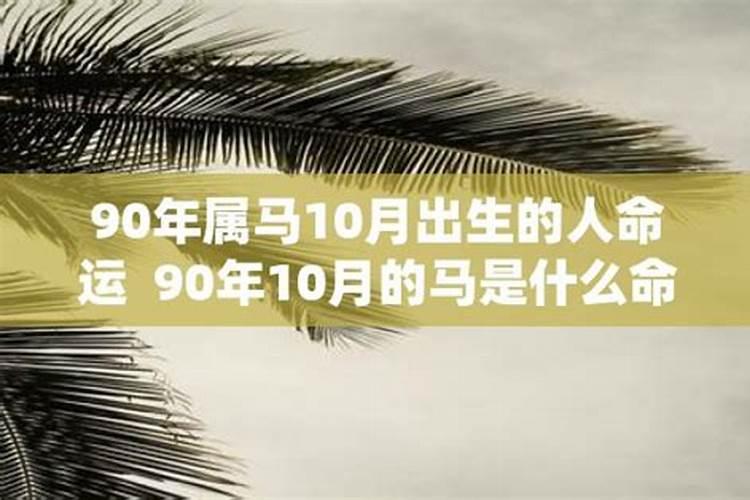 90年属马10月的是什么命