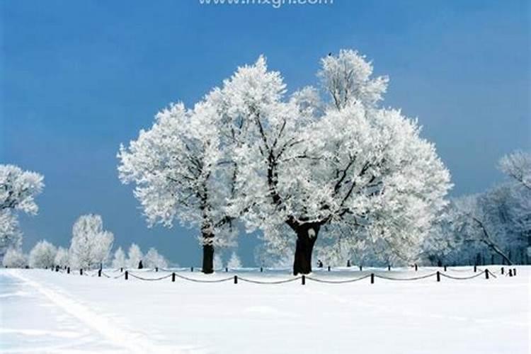 梦见漂亮的雪景是什么意思