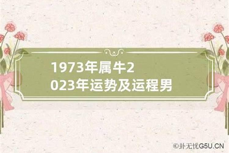 73年男2023年运势