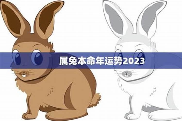 82年属鸡狗2023年运势及运程