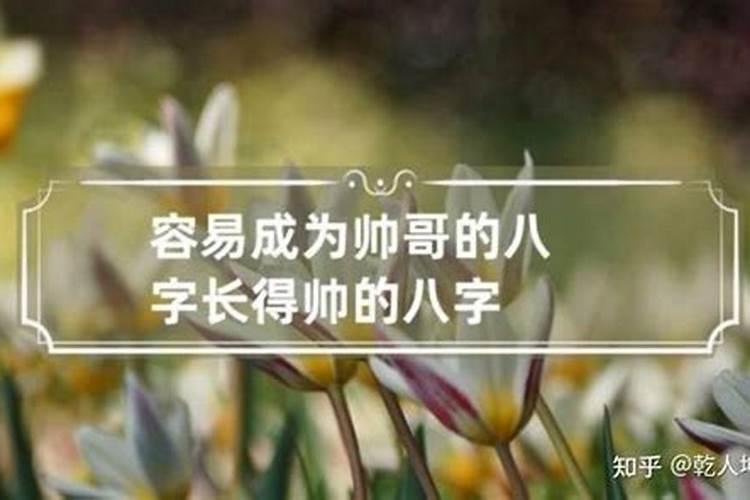 什么样的八字长的帅