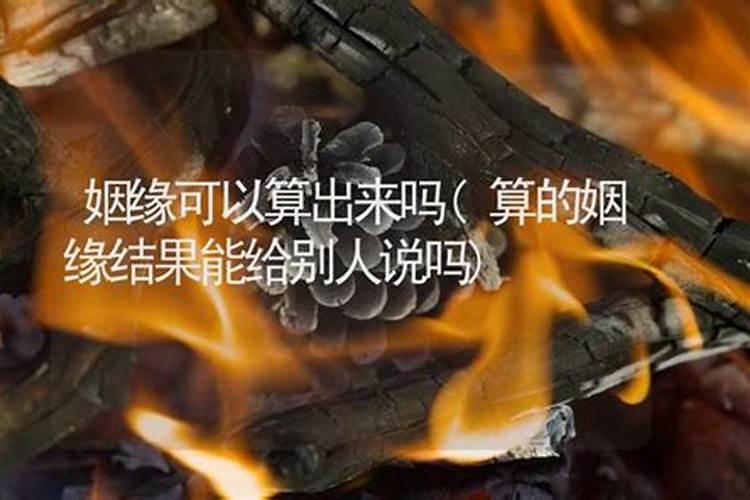 梦见狗狗全身是虫子在爬