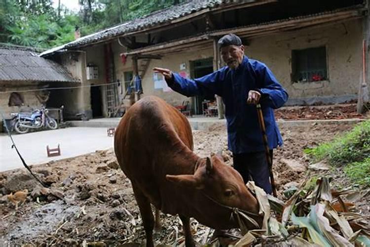 什么特征是前世姻缘