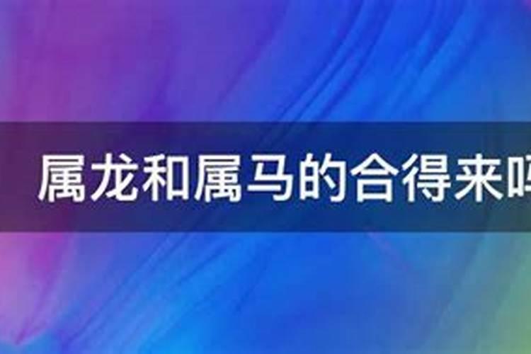 属马跟属龙的合不合得来