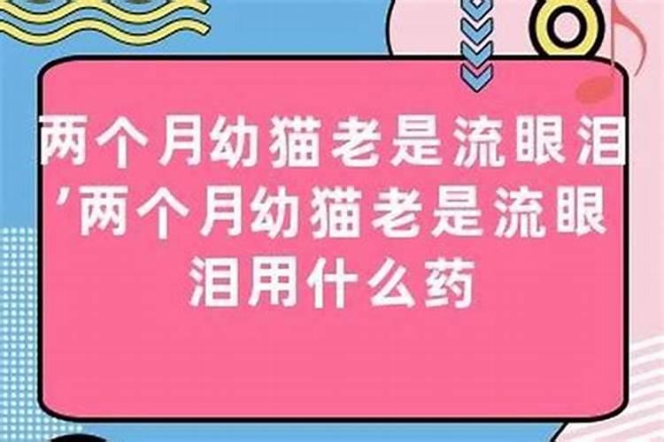 梦到死去的前妻是什么意思呀