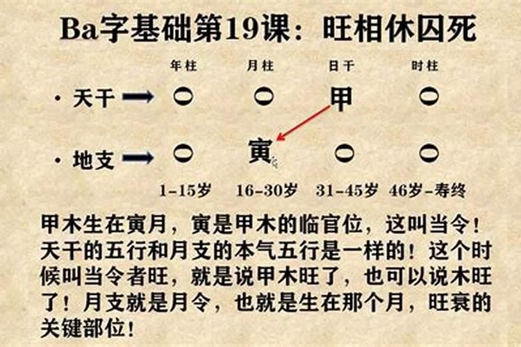 八字基本概念是什么内容