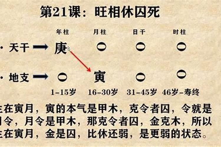 八字基本概念是什么