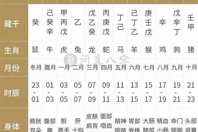 八字算命需要看地支纳干吗