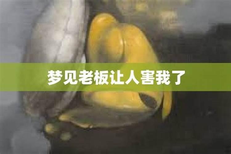 梦见老板暗示让我离职