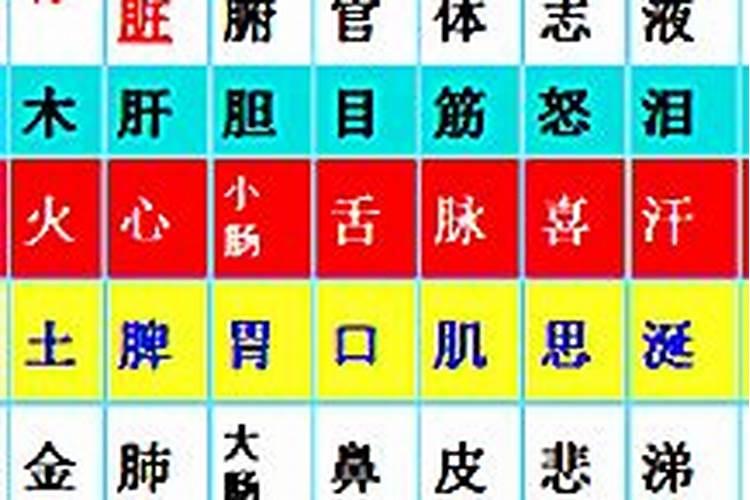 八字五行对应疾病