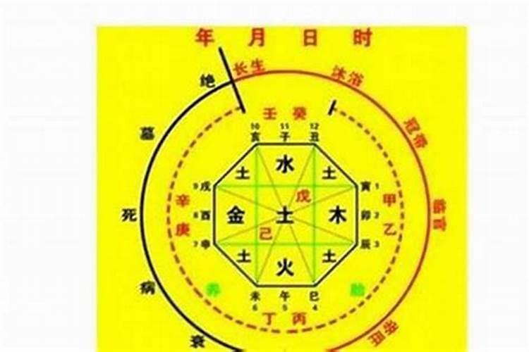 2028年犯太岁最凶的四大生肖是谁