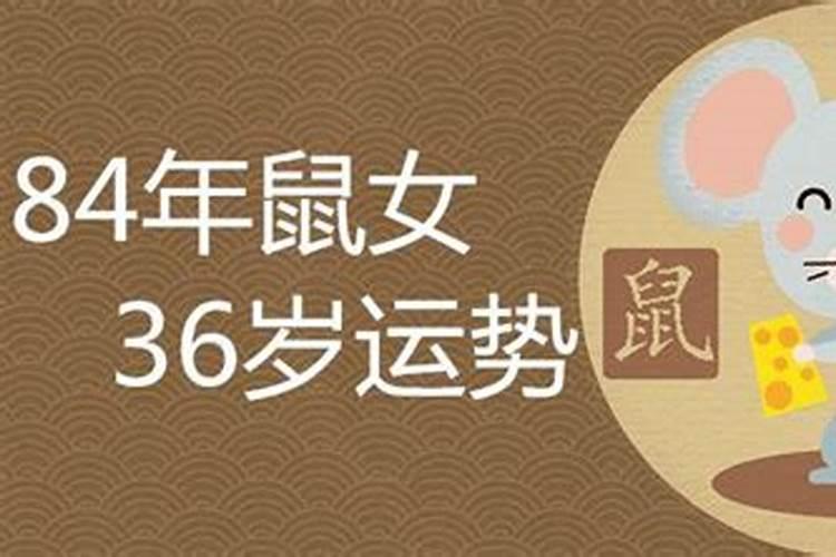 2023年属鼠女的全年运势