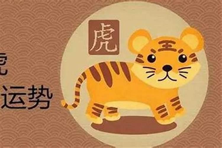 80年农历四月猴一生运势如何