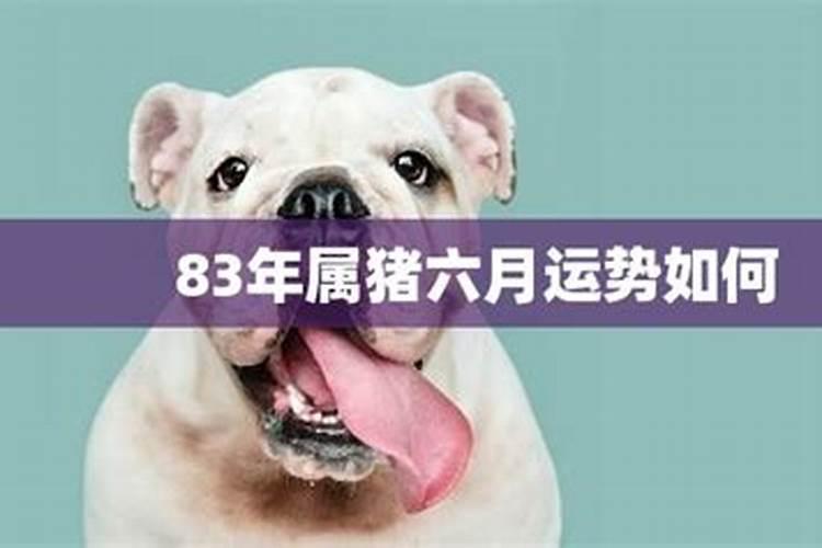 生肖猪6月份运势怎么样