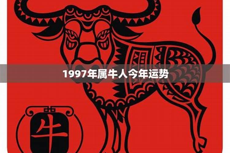 1997属牛今年运势2022