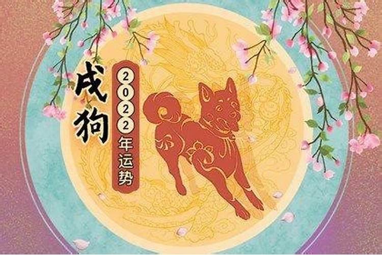 生肖狗猪年2023年运势及运程