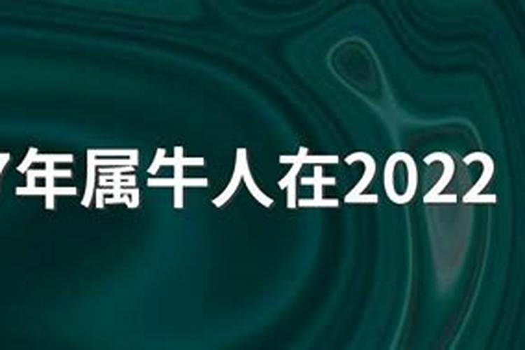 1997年属牛人在2023年运程