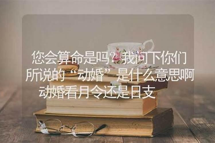 算命的月令是什么意思