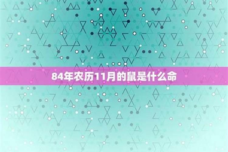 84年农历11月初八8今年运势