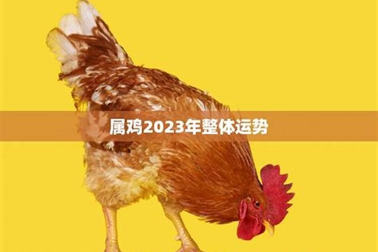 属鸡2023年的运势如何呢女生