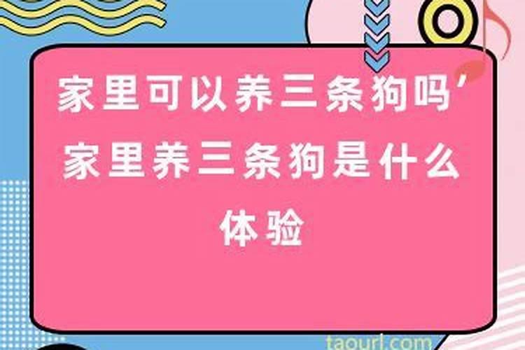 风水正月十五有什么禁忌