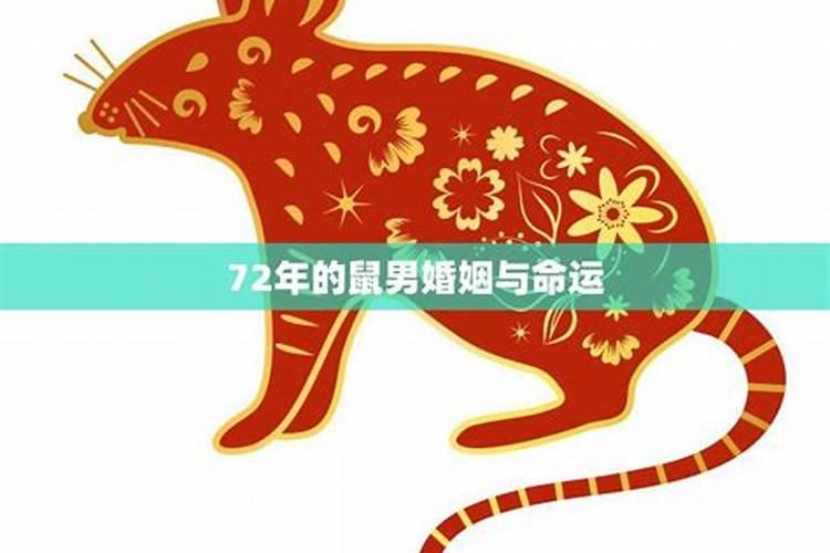 72年鼠婚姻怎么样呢