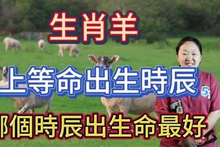 属羊对应什么时辰